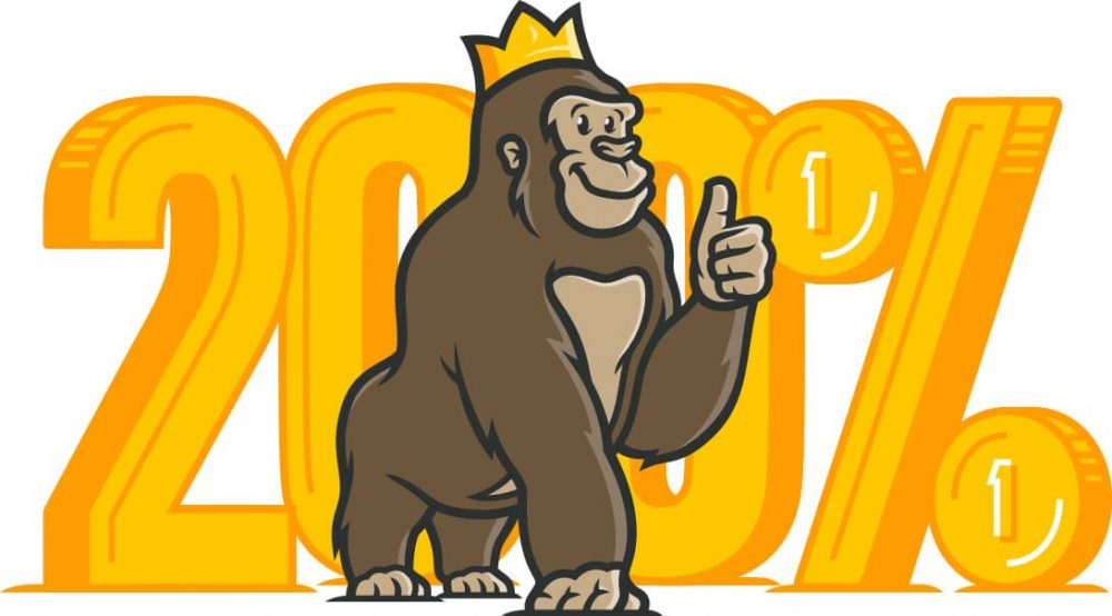 Casino Gorilla graphics