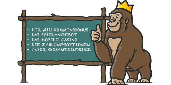 Casino Gorilla Erfahrungen