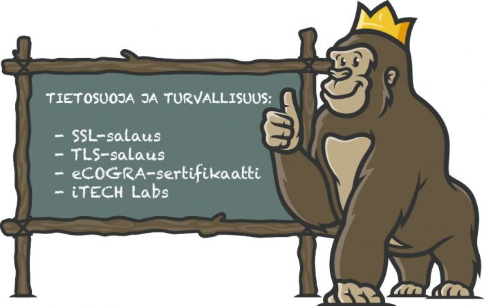 Toetosuoja ja turvallisuus nettikasinolla