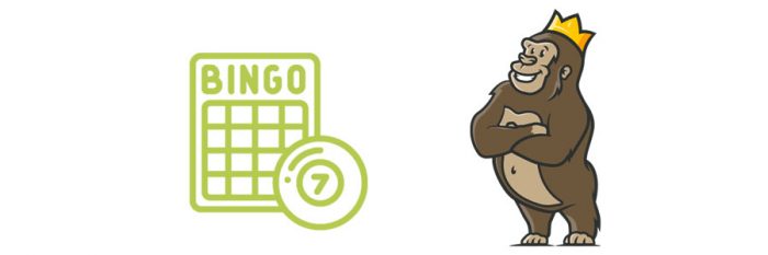 Opas nettibingon pelaamiseen